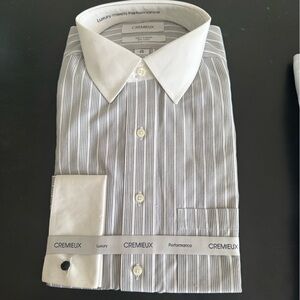 Daniel Cremieux Men's White and Gray Striped Dress Shirt